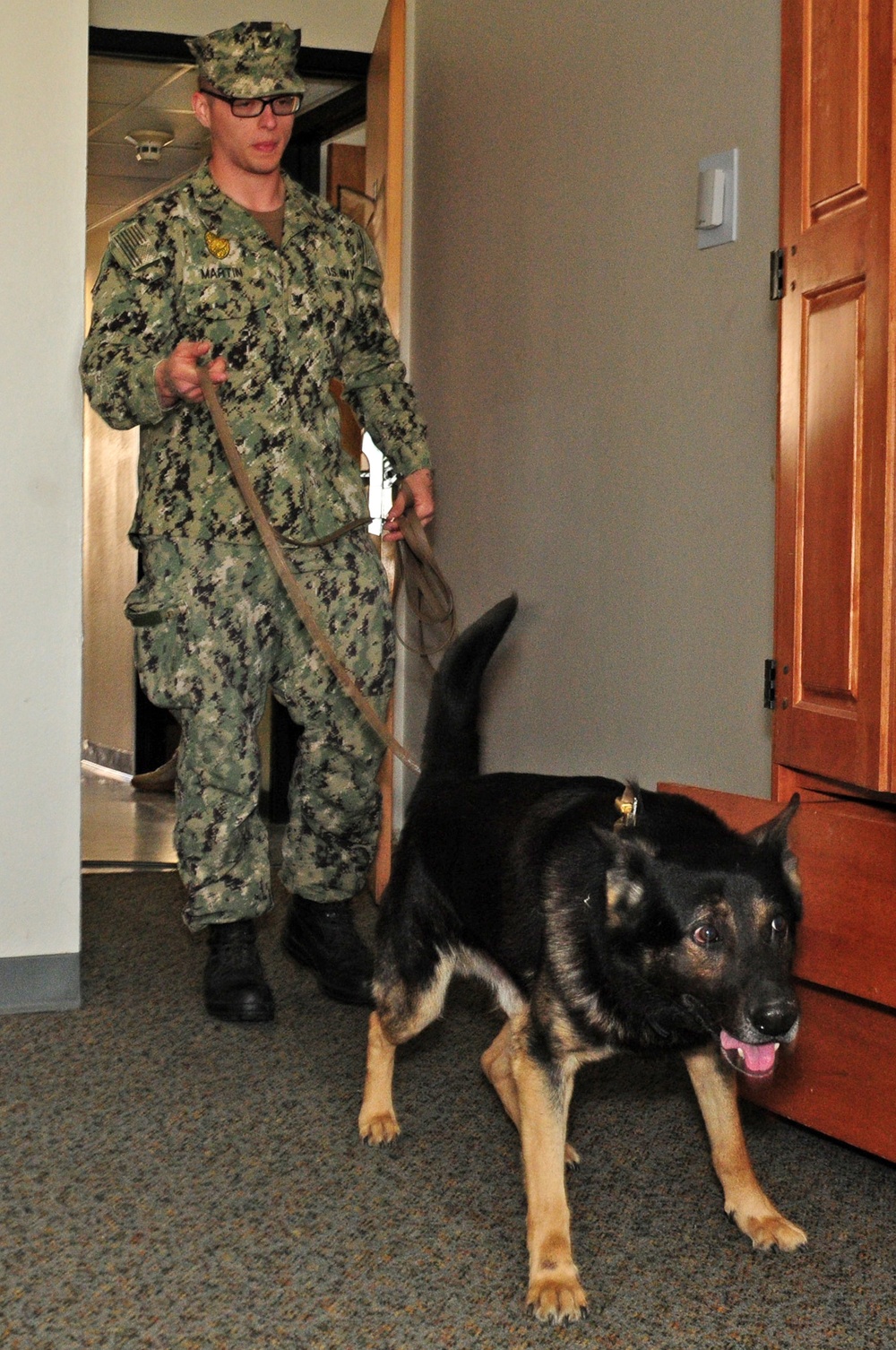 Military Working Dog Training
