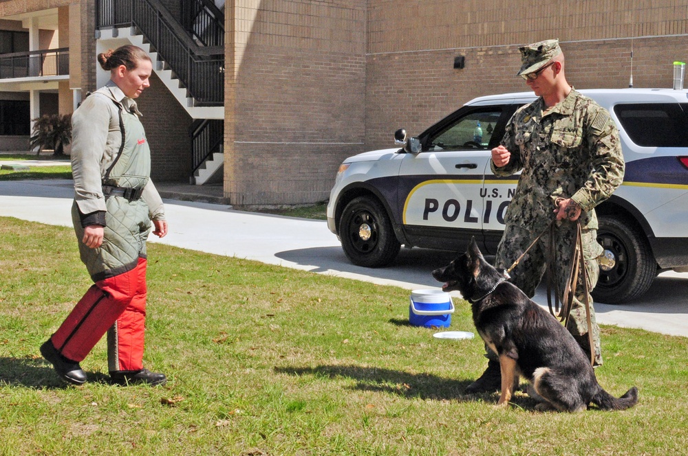 Military Working Dog Training
