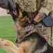 Military working dogs demonstrate controlled aggression tactics