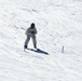 Cold-Weather Operations Course Class 18-06 students practice skiing at Fort McCoy