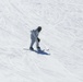 Cold-Weather Operations Course Class 18-06 students practice skiing at Fort McCoy
