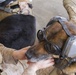 Military working dogs ride Hawks for training