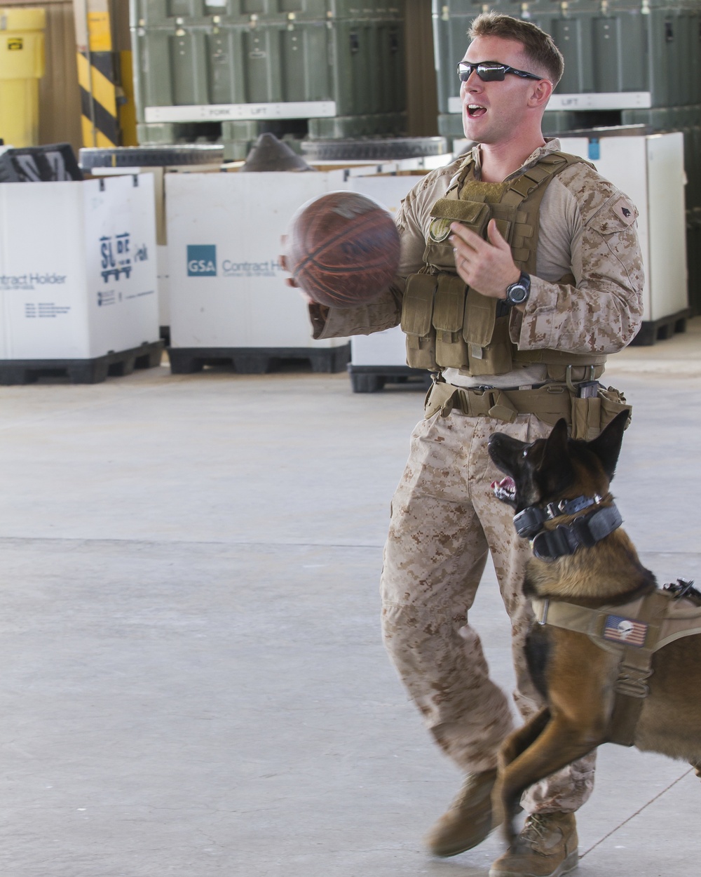 DVIDS - Images - Military working dogs ride Hawks for training