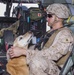 Military working dogs ride Hawks for training