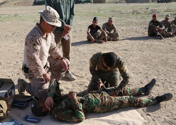 Iraqi Security Forces conduct life saving skills training
