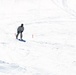 Cold-Weather Operations Course Class 18-06 students practice skiing at Fort McCoy