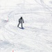 Cold-Weather Operations Course Class 18-06 students practice skiing at Fort McCoy