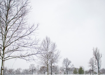 Spring Snow Storm 2018