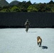 3rd LE Marines conduct MOUT training with military working dogs