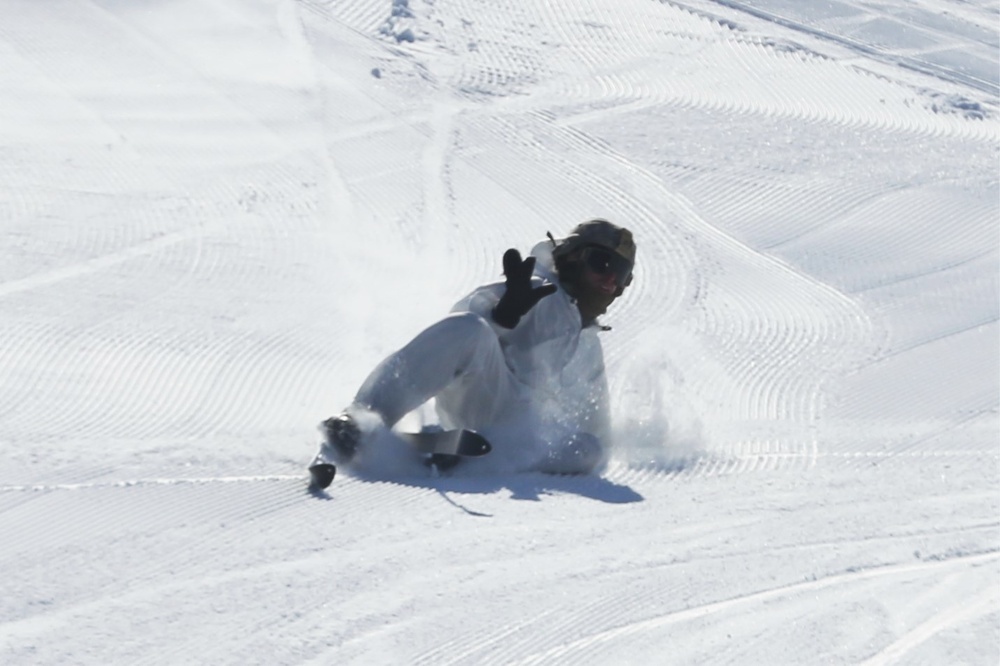 Cold-Weather Operations Course students master skiing at Fort McCoy
