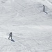 Cold-Weather Operations Course students master skiing at Fort McCoy