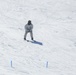 Cold-Weather Operations Course students master skiing at Fort McCoy