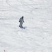 Cold-Weather Operations Course students master skiing at Fort McCoy