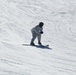 Cold-Weather Operations Course students master skiing at Fort McCoy