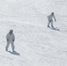 Cold-Weather Operations Course students master skiing at Fort McCoy