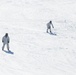 Cold-Weather Operations Course students master skiing at Fort McCoy