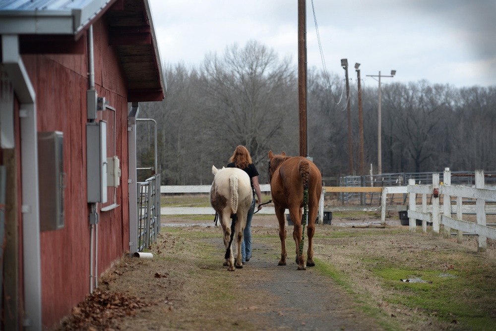 Four-legged friends lead Airman to stable relationship
