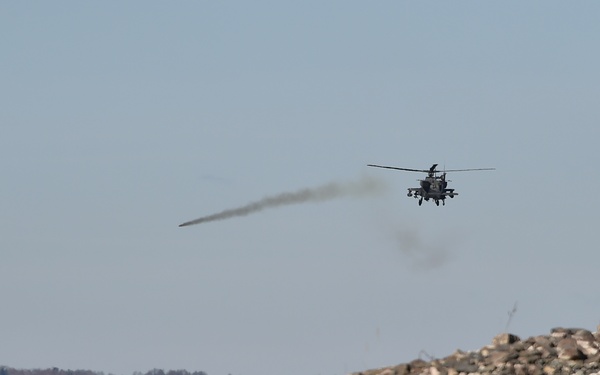 TF Viper 1-3 ARB support LFX