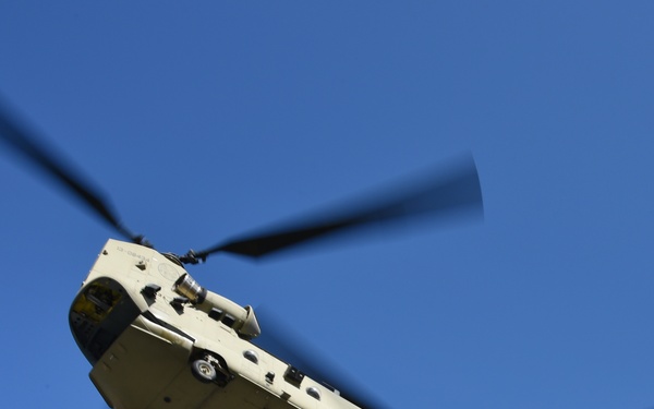 TF Viper 1-3 ARB support LFX