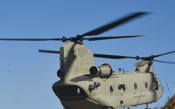 TF Viper 1-3 ARB support LFX