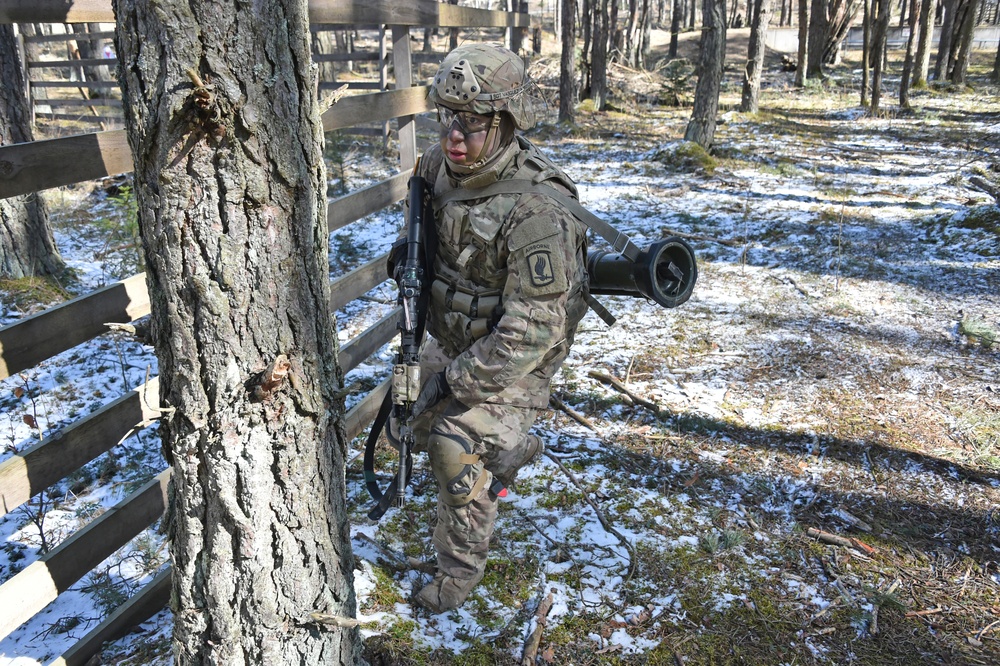 2nd Battalion, 503rd Infantry Regiment LFX