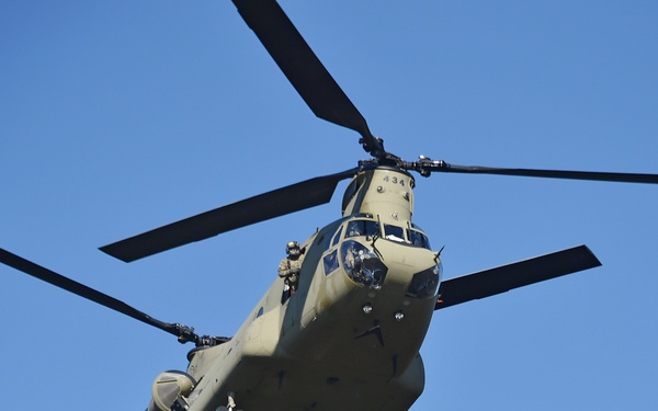 TF Viper 1-3 ARB support LFX