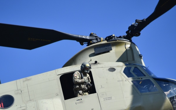 TF Viper 1-3 ARB support LFX