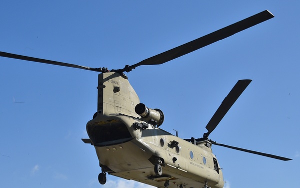 TF Viper 1-3 ARB support LFX