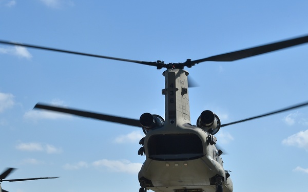 TF Viper 1-3 ARB support LFX