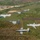 560th Flying Training Squadron Missing Man Flight 560th Flying Training Squadron Missing Man Flight