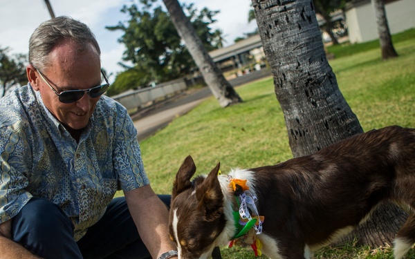 Lava and Flare arrive to Hawaii