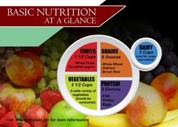 Basic Nutrition at a glance