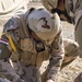 74th BDE Urban Operation Training