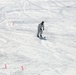 Cold-Weather Operations Course students master skiing at Fort McCoy