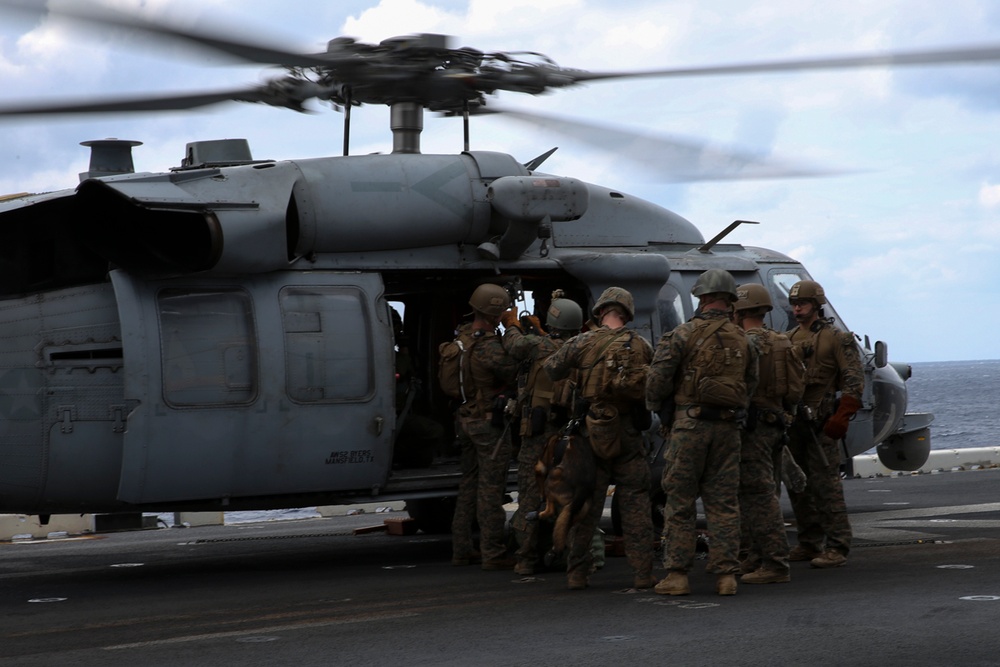 Recon Marines fast rope from an MH-60S aboard the USS Wasp