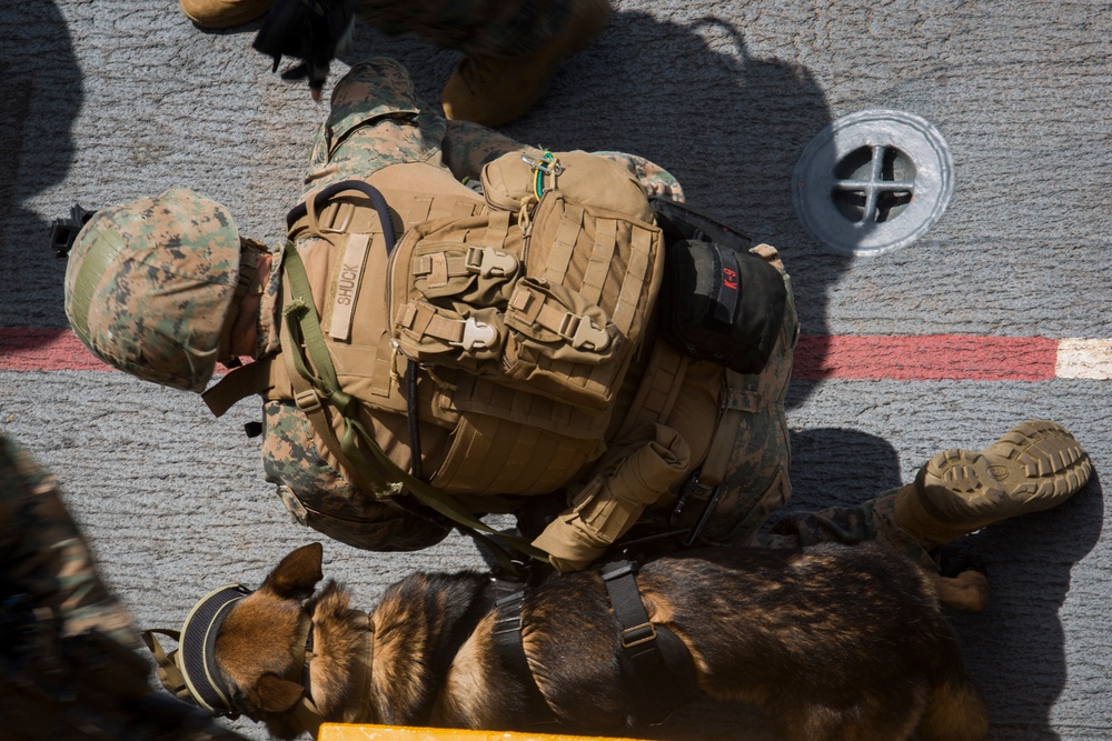 Recon Marines fast rope from an MH-60S aboard the USS Wasp