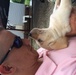 Military Working Dog Handler: Cpl. Hunter Gullick