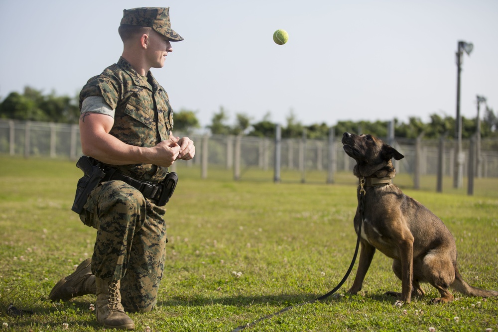 Military Working Dog Handler: Cpl. Hunter Gullick