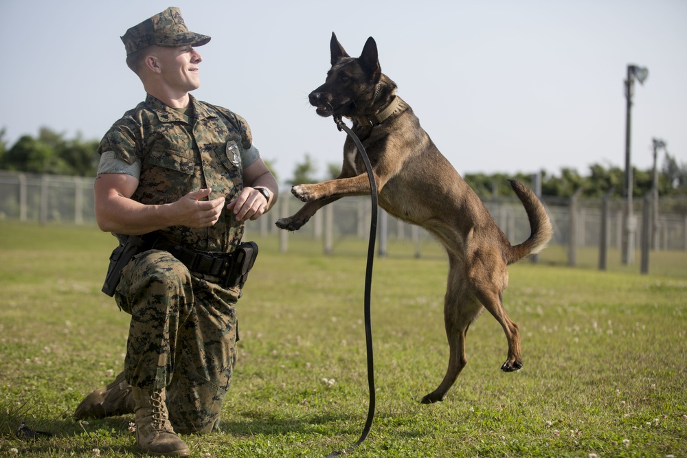 Military Working Dog Handler: Cpl. Hunter Gullick