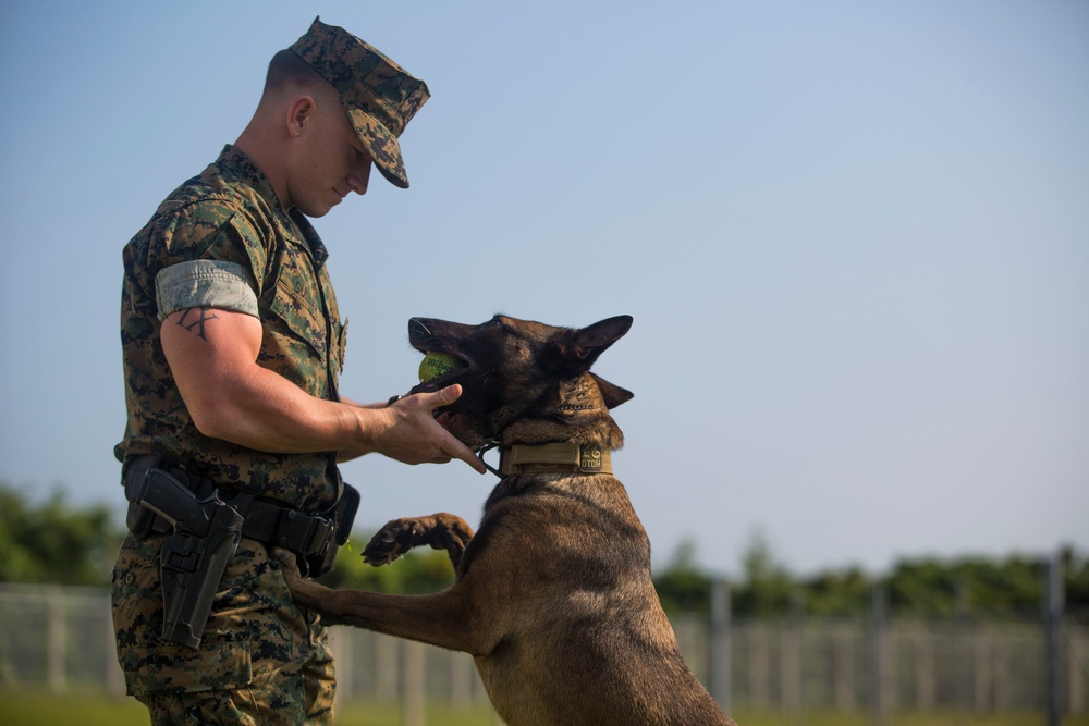 Military Working Dog Handler: Cpl. Hunter Gullick