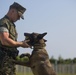 Military Working Dog Handler: Cpl. Hunter Gullick
