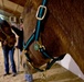 Veterans build resiliency through equine assisted therapy