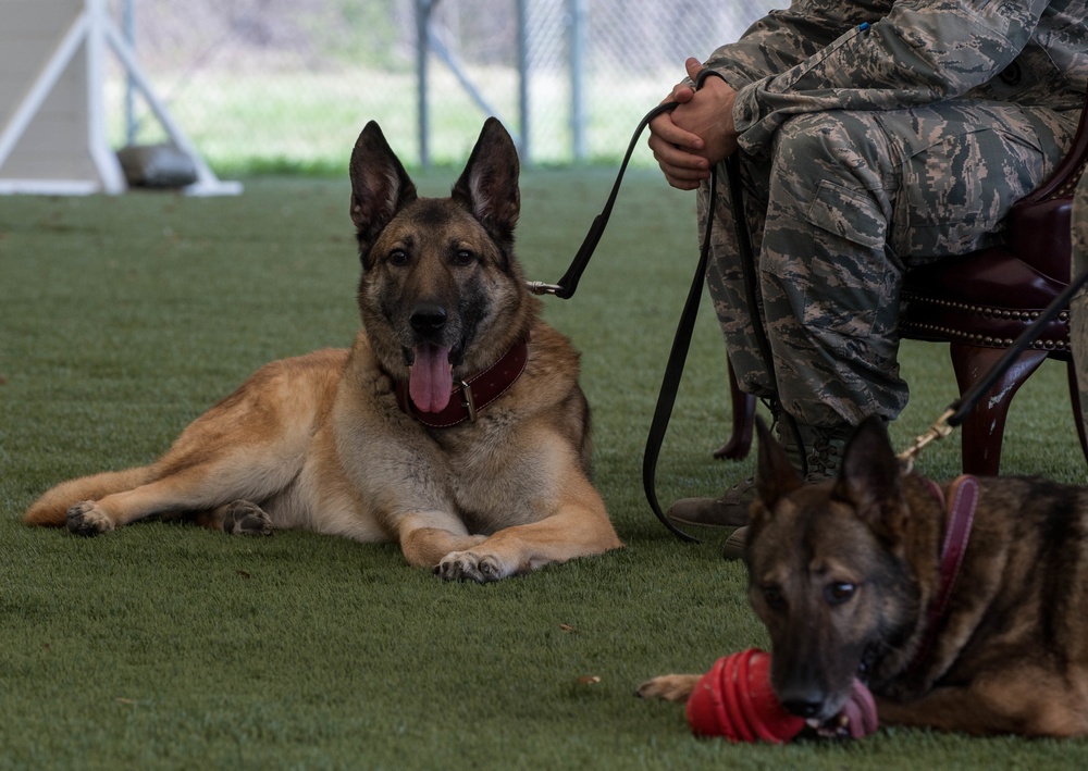 K-9 heroes: 2nd SFS honors MWDs