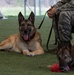 K-9 heroes: 2nd SFS honors MWDs