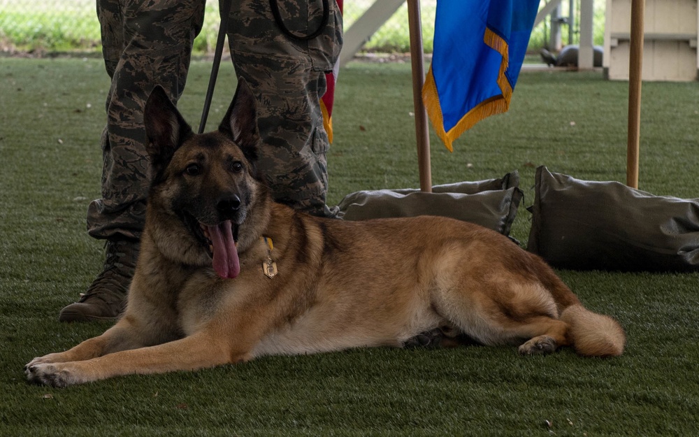 K-9 heroes: 2nd SFS honors MWDs