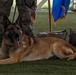 K-9 heroes: 2nd SFS honors MWDs