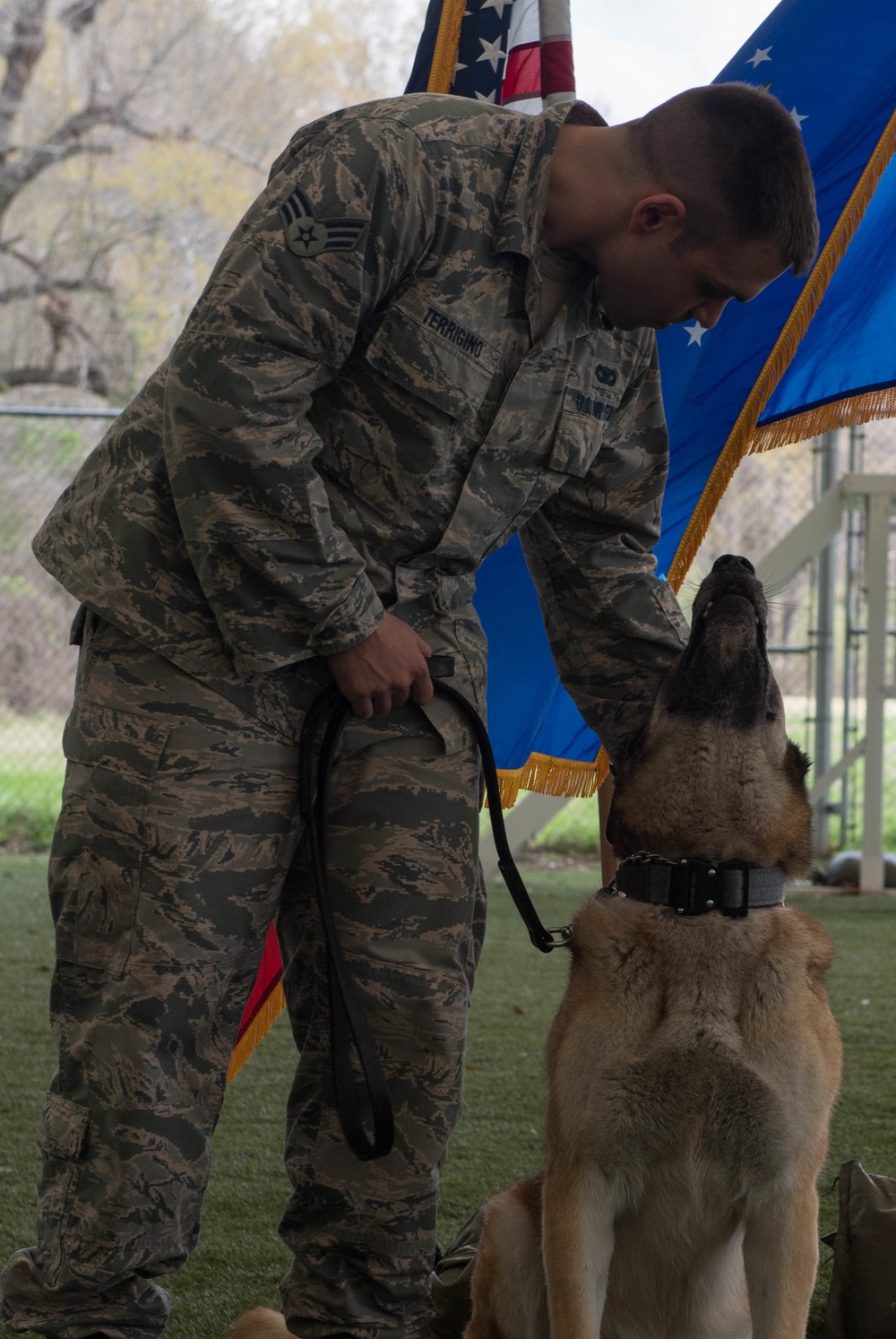 K-9 heroes: 2nd SFS honors MWDs