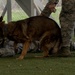 K-9 heroes: 2nd SFS honors MWDs