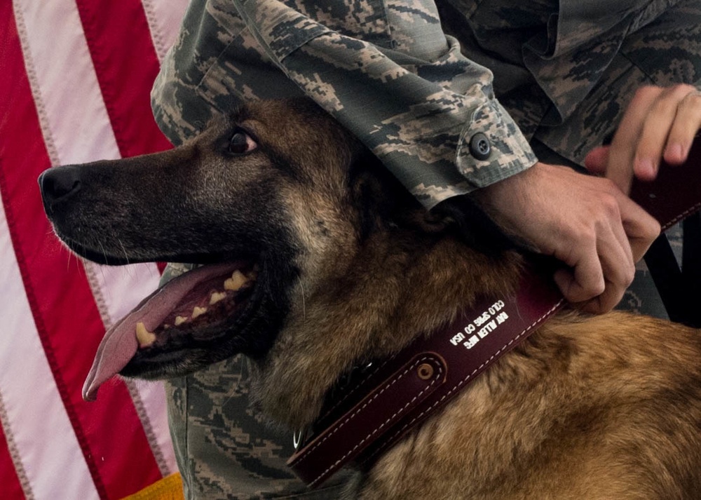 K-9 heroes: 2nd SFS honors MWDs