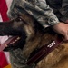 K-9 heroes: 2nd SFS honors MWDs